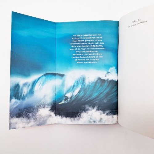 Buchcover und Innenansicht für das Buch: The Fire, The Water and Maudie McGinn