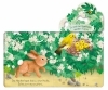 Buchcover und Innenansicht für das Buch: Mein erstes Entdecker-Klappenbuch: Kleines Häschen unterwegs