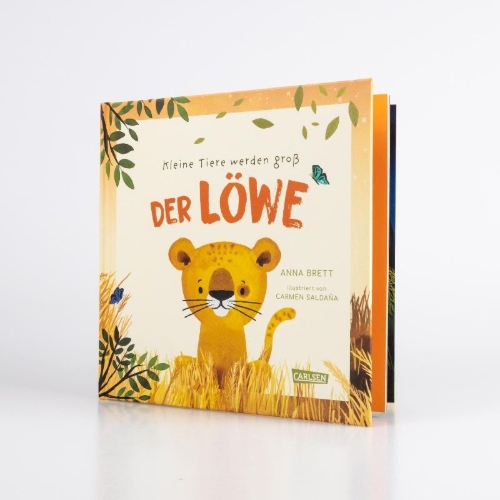 Buchcover und Innenansicht für das Buch:  Really Wild Families - Little Lion
