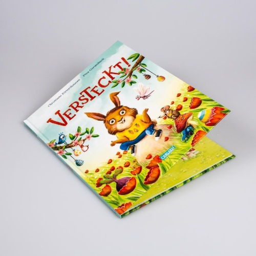 Buchcover und Innenansicht für das Buch: Versteckt!