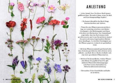 Buchcover und Innenansicht für das Buch: Das kleine Herbarium