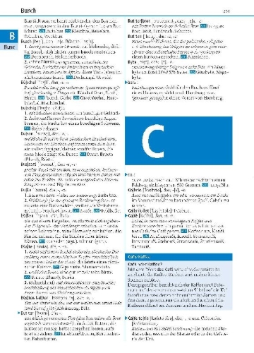 Buchcover und Innenansicht für das Buch: Duden - Deutsch als Fremdsprache - Standardwörterbuch