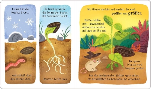 Buchcover und Innenansicht für das Buch: Schau mal, wie ich wachse! Vom Samenkorn zur Blume