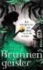 Buchcover und Innenansicht für das Buch: Brunnengeister - Ich verspreche dir alles, was du willst ...