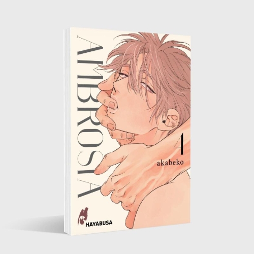 Buchcover und Innenansicht für das Buch: Mitsuka
