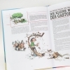 Buchcover und Innenansicht für das Buch: Lagaffe nous gâte