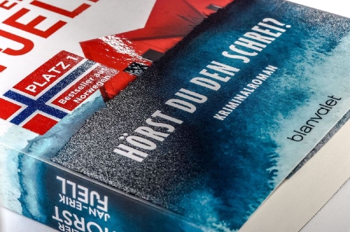 Buchcover und Innenansicht für das Buch: Skriket