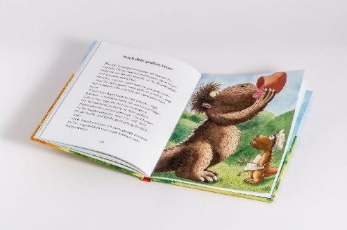Buchcover und Innenansicht für das Buch: Der kleine Drache Kokosnuss - Einsatz bei der Feuerwehr