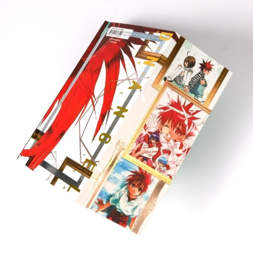 Buchcover und Innenansicht für das Buch: D. N. Angel