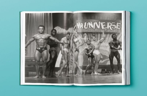Buchcover und Innenansicht für das Buch: ARNOLD