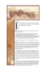 Buchcover und Innenansicht für das Buch: Neil Gaiman and Charles Vess' Stardust