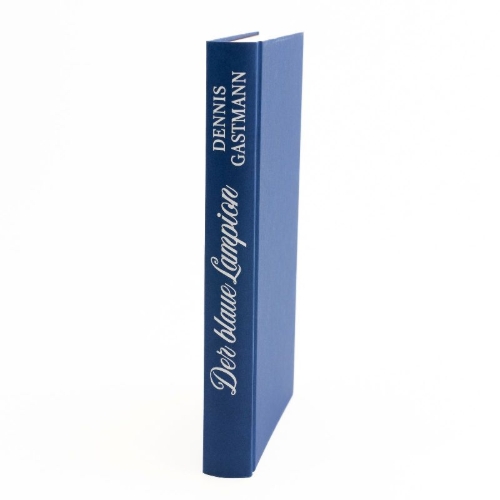 Buchcover und Innenansicht für das Buch: Der blaue Lampion