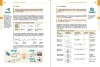 Buchcover und Innenansicht für das Buch: Basiswissen Schule - Chemie 5. bis 10. Klasse