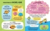 Buchcover und Innenansicht für das Buch: Knobel-Klub: Ist doch logisch!