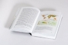 Buchcover und Innenansicht für das Buch: 3 Grad mehr