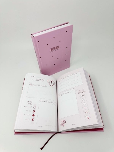 Buchcover und Innenansicht für das Buch: Journal