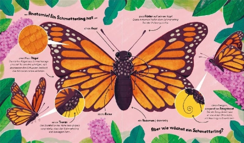 Buchcover und Innenansicht für das Buch: Watch Me Grow: Butterflies