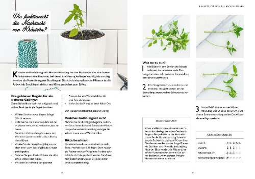 Buchcover und Innenansicht für das Buch: Regrow für Einsteiger