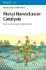 Buchcover und Innenansicht für das Buch: Metal Nanocluster Catalysis