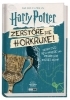 Buchcover und Innenansicht für das Buch: From the Films of Harry Potter: Destroy the Horcruxes