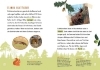 Buchcover und Innenansicht für das Buch: Dein Lesestart - Wald