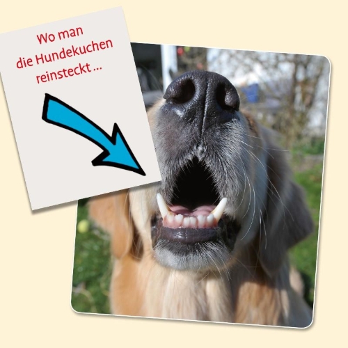 Buchcover und Innenansicht für das Buch: Viel Spaß mit Hunden
