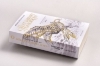 Buchcover und Innenansicht für das Buch: TOMORROWLAND - The Great Library Of Tomorrow (The Tomorrowland Saga 01)