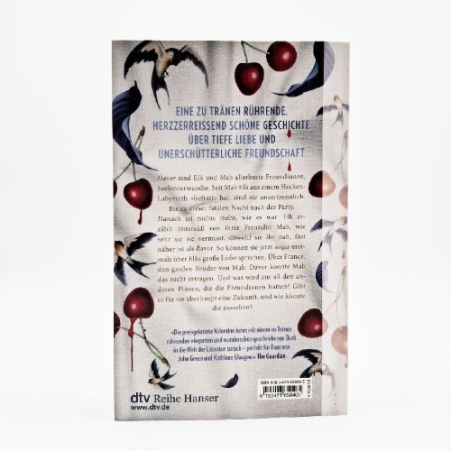 Buchcover und Innenansicht für das Buch: Us in the Before and After