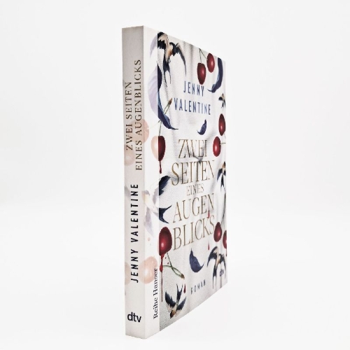 Buchcover und Innenansicht für das Buch: Us in the Before and After
