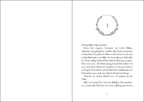 Buchcover und Innenansicht für das Buch: Silver Horse Creek - High Hopes