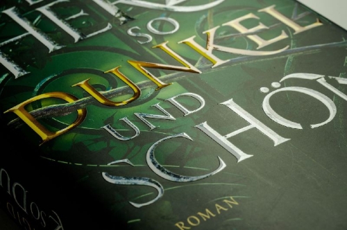 Buchcover und Innenansicht für das Buch: A Heart So Fierce and Broken