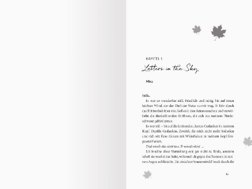Buchcover und Innenansicht für das Buch: Maple-Creek-Reihe, Band 1: Meet Me in Maple Creek