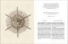 Buchcover und Innenansicht für das Buch: Ernst Haeckel