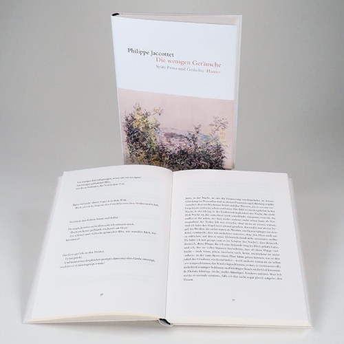 Buchcover und Innenansicht für das Buch: Ce peu de bruits