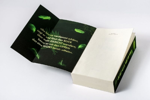 Buchcover und Innenansicht für das Buch: Birds of a Feather (Ravenhood Legacy 3)