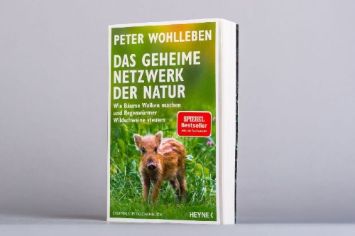 Buchcover und Innenansicht für das Buch: Das geheime Netzwerk der Natur