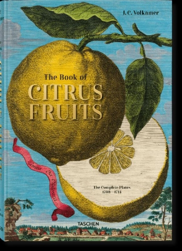 Buchcover und Innenansicht für das Buch: J. C. Volkamer. The Book of Citrus Fruits