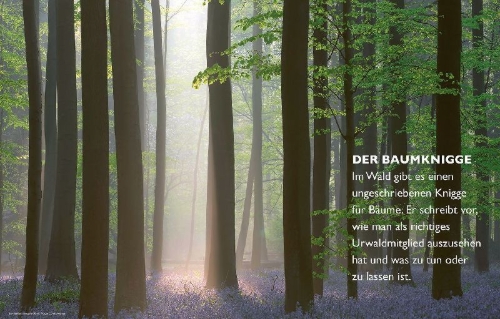 Buchcover und Innenansicht für das Buch: Das geheime Leben der Bäume