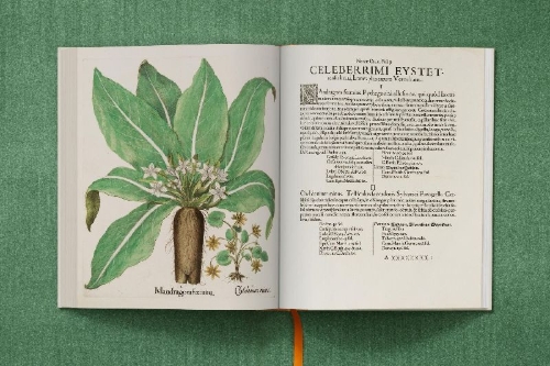 Buchcover und Innenansicht für das Buch: Basilius Besler. The Garden at Eichstätt