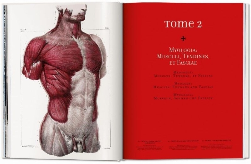 Buchcover und Innenansicht für das Buch: Bourgery. Atlas of Human Anatomy and Surgery