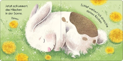Buchcover und Innenansicht für das Buch: Streichle das kleine Häschen