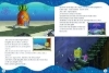 Buchcover und Innenansicht für das Buch: SpongeBob Schwammkopf: Meine liebsten Gutenachtgeschichten