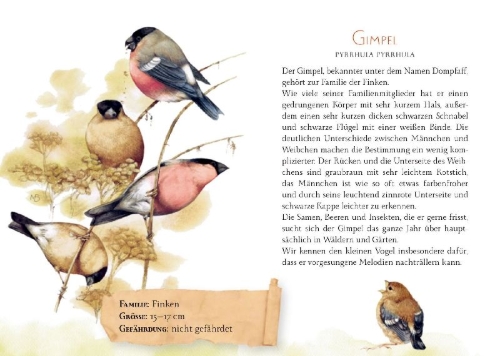 Buchcover und Innenansicht für das Buch: Gezwitscher und Flügelschlag