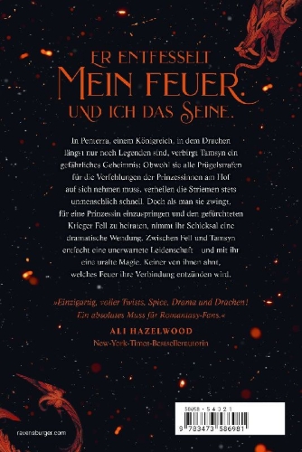 Buchcover und Innenansicht für das Buch: A Fire in the Sky, A Novel