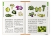 Buchcover und Innenansicht für das Buch: Was wir essen