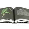 Buchcover und Innenansicht für das Buch: Plantopedia
