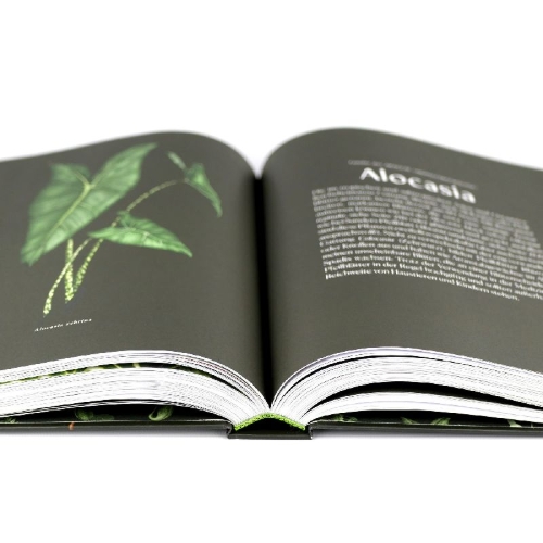Buchcover und Innenansicht für das Buch: Plantopedia