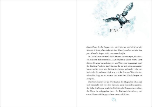 Buchcover und Innenansicht für das Buch: Leila And The Blue Fox