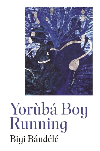 Buchcover und Innenansicht für das Buch: Yoruba Boy Running