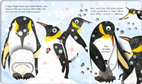 Buchcover und Innenansicht für das Buch: Guck mal, wer da ist! Im Vogelnest